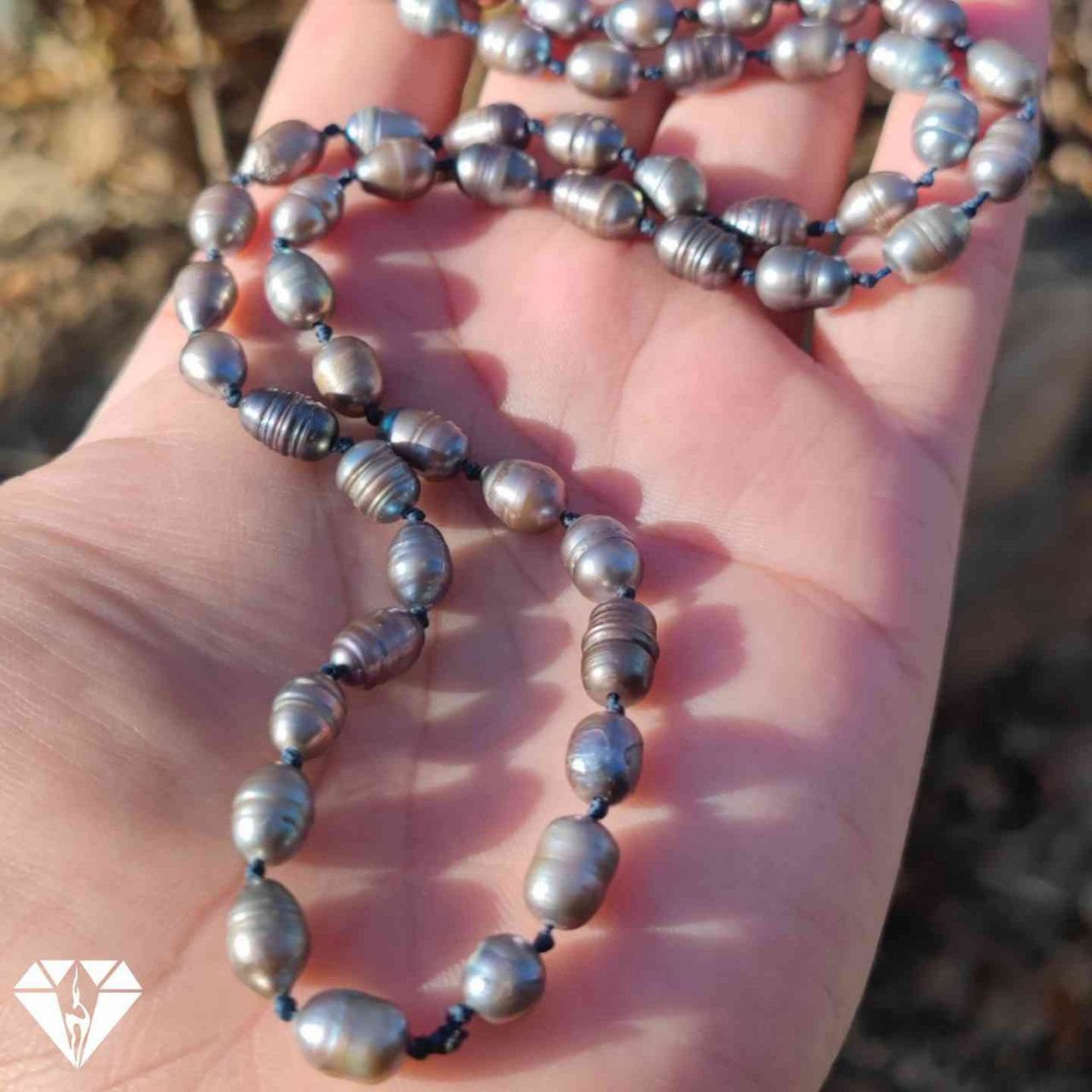 IMG_20250313_060421_717