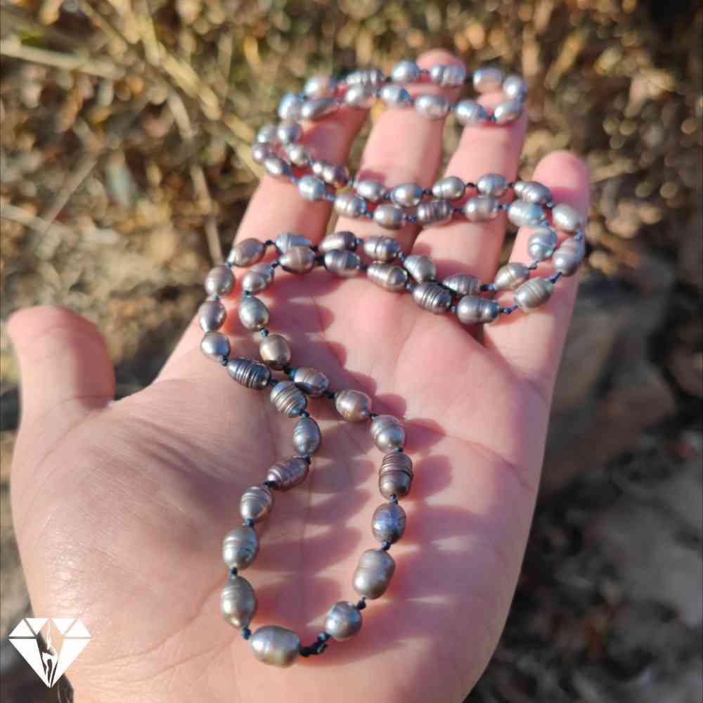 IMG_20250313_060422_423