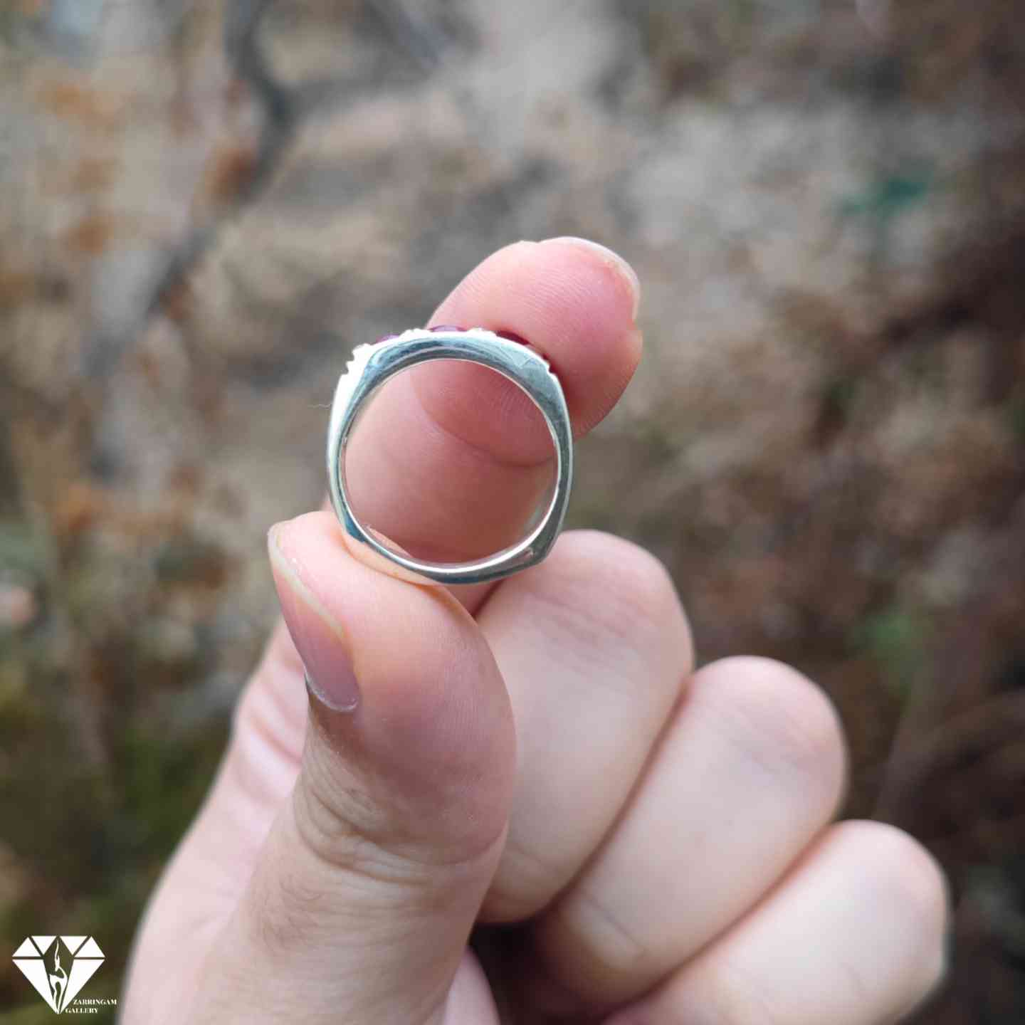 IMG_20250312_175351_466