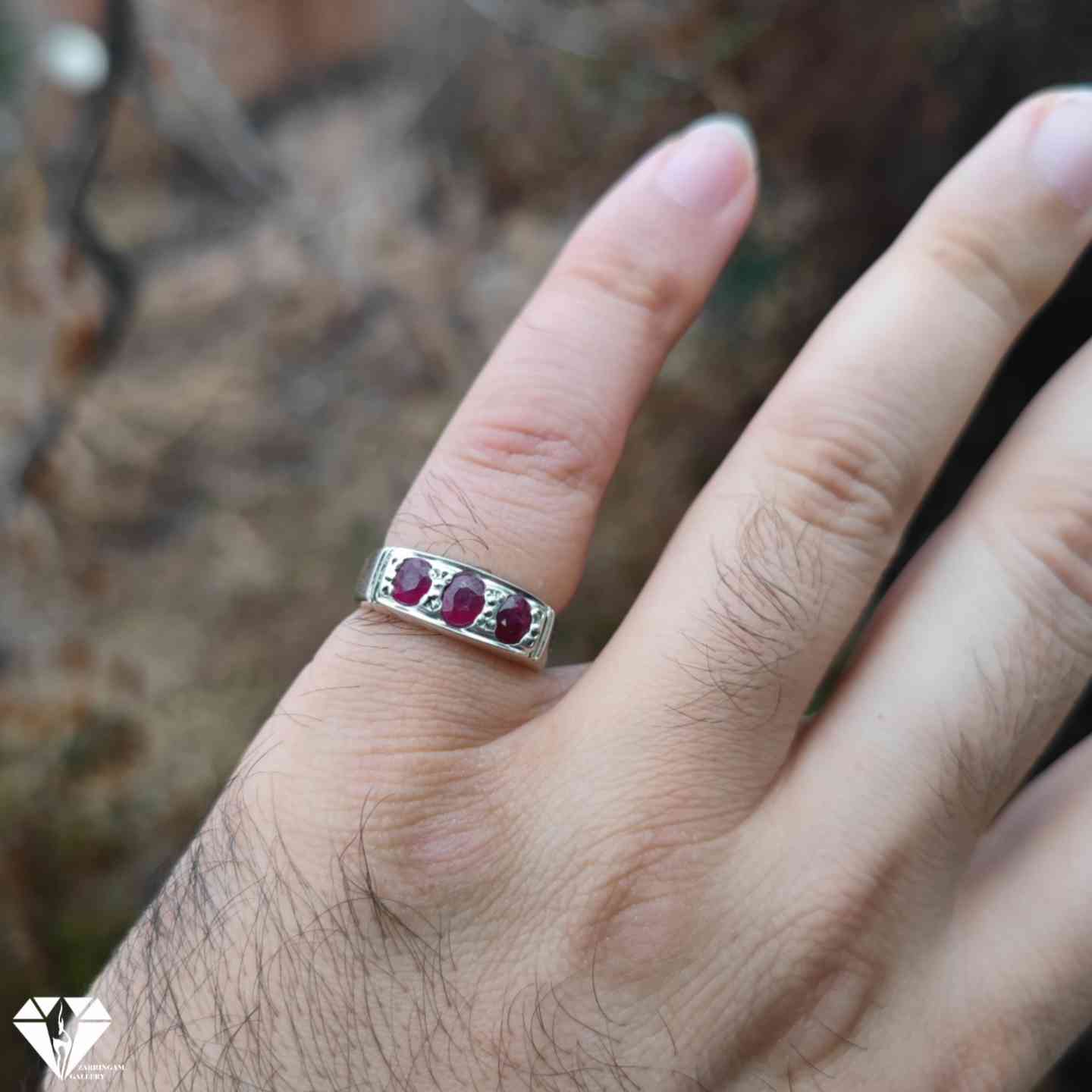 IMG_20250312_175352_213