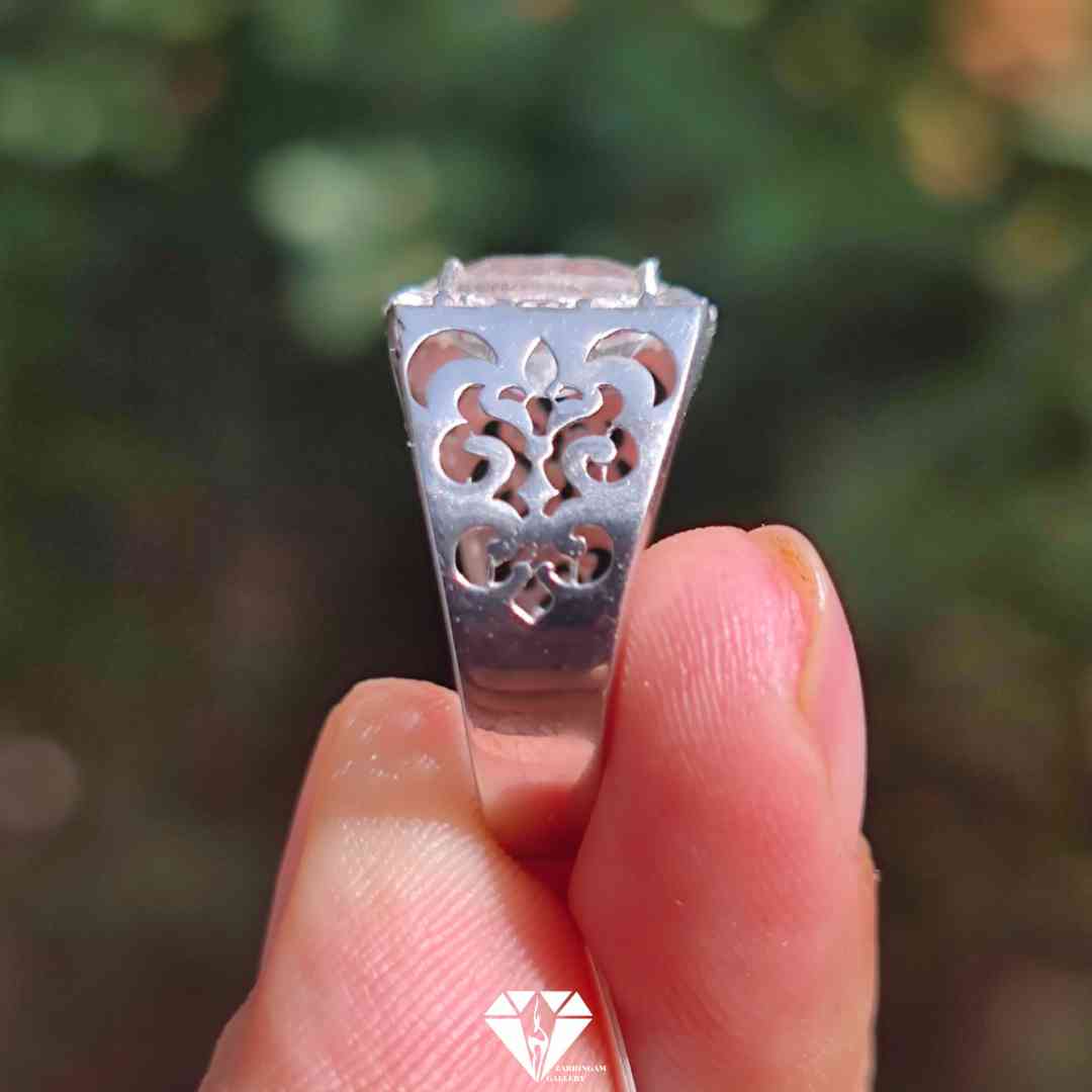 Picsart_25-07-08_15-12-05-236